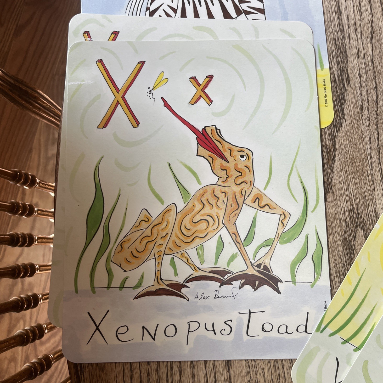 2009 Alex Beard Alphabet Cards Animal Edition A-Z
