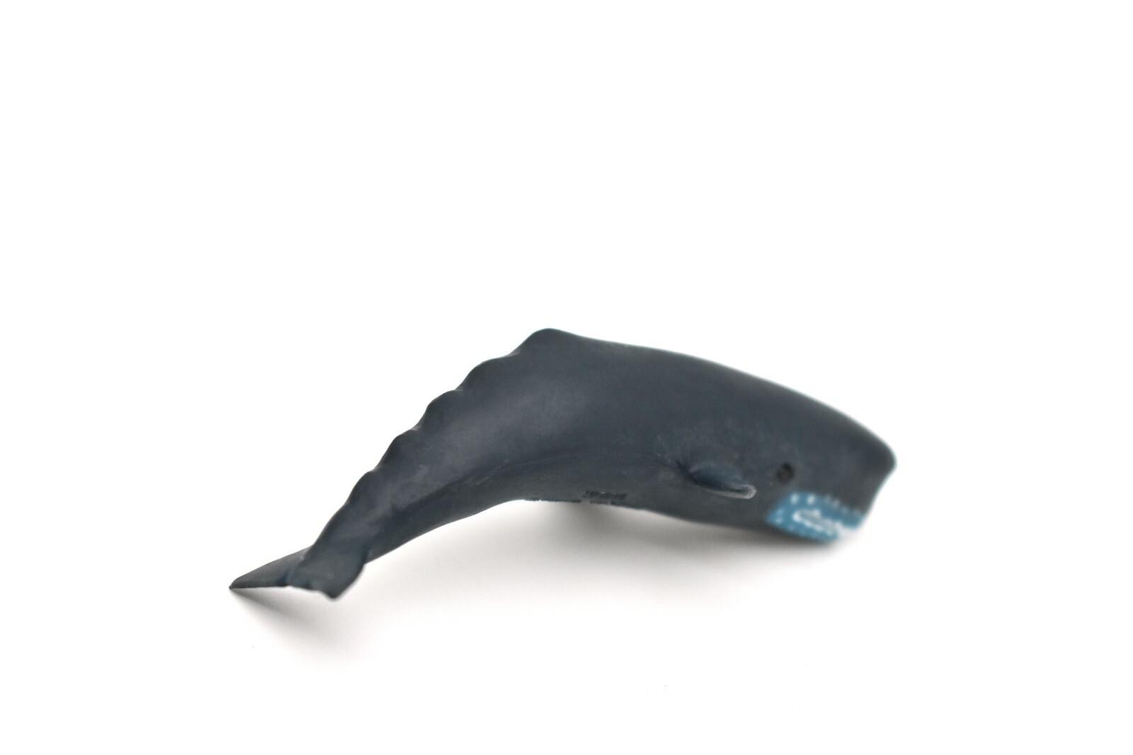 Sperm Whale, Very Nice Plastic Replica 3″ F1007 B42