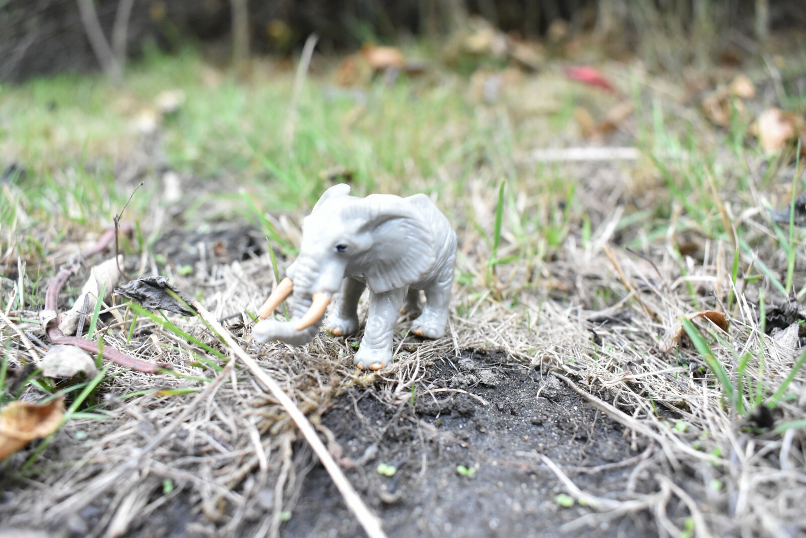 Elephant, African, Plastic Toy Animal, Kids Gift, Realistic Figure 2.5″ F3542