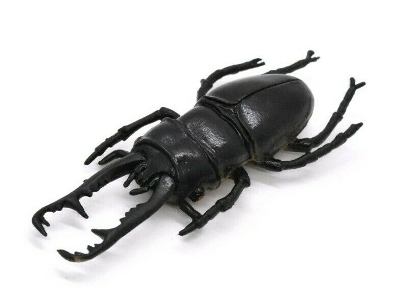 Stag Beetle, Very Nice Rubber Reproduction 2 3/4″ CWG07 B13