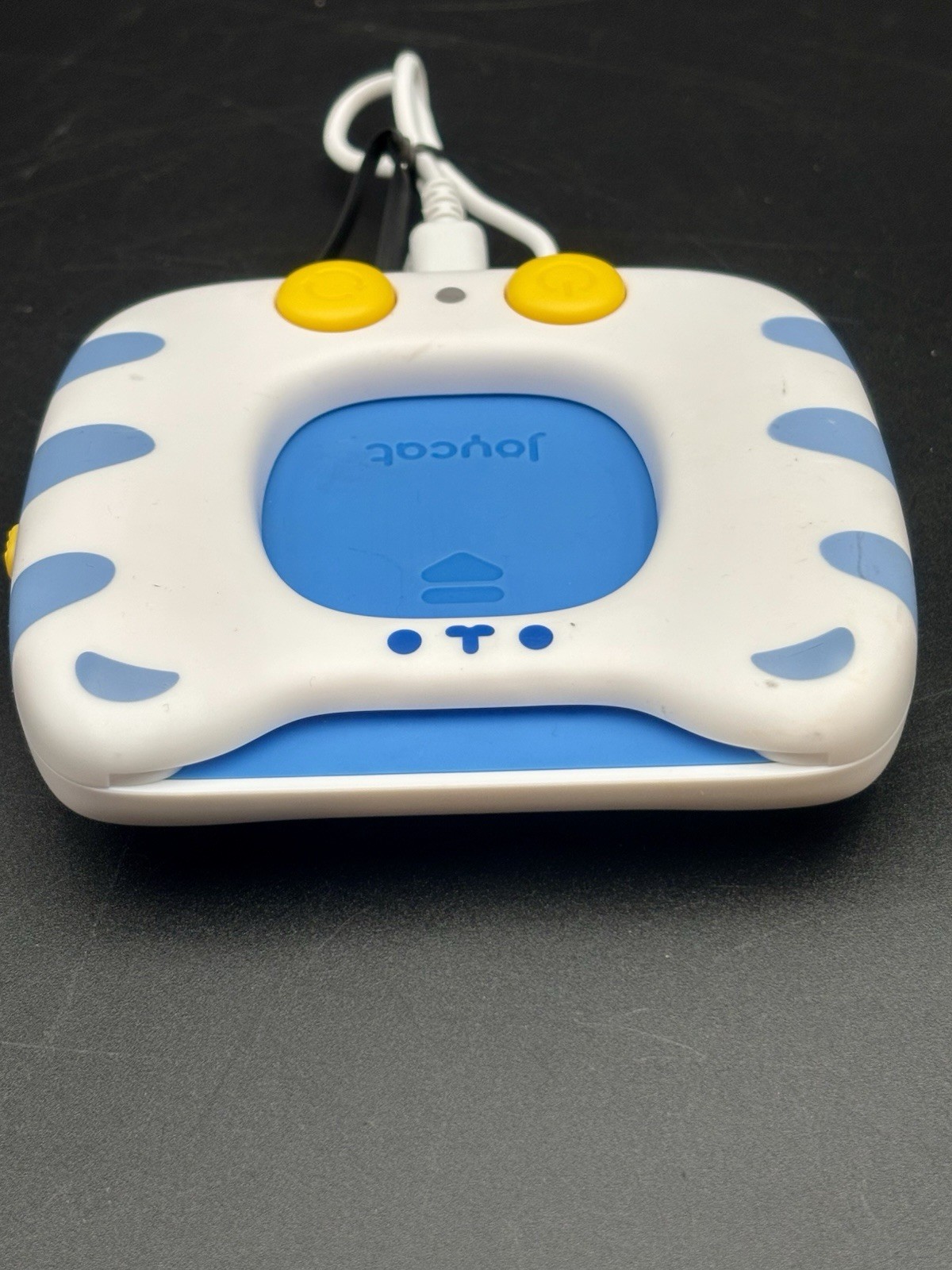 JoyCat Talking Flash Card Reader Sight Words Learning Toy for Toddlers