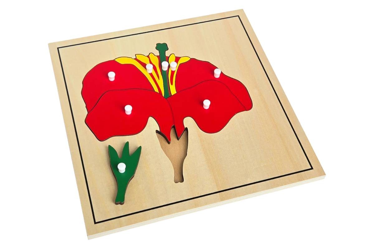 Flower Puzzle – MONTESSORI BIOLOGY / BOTANY MATERIALS