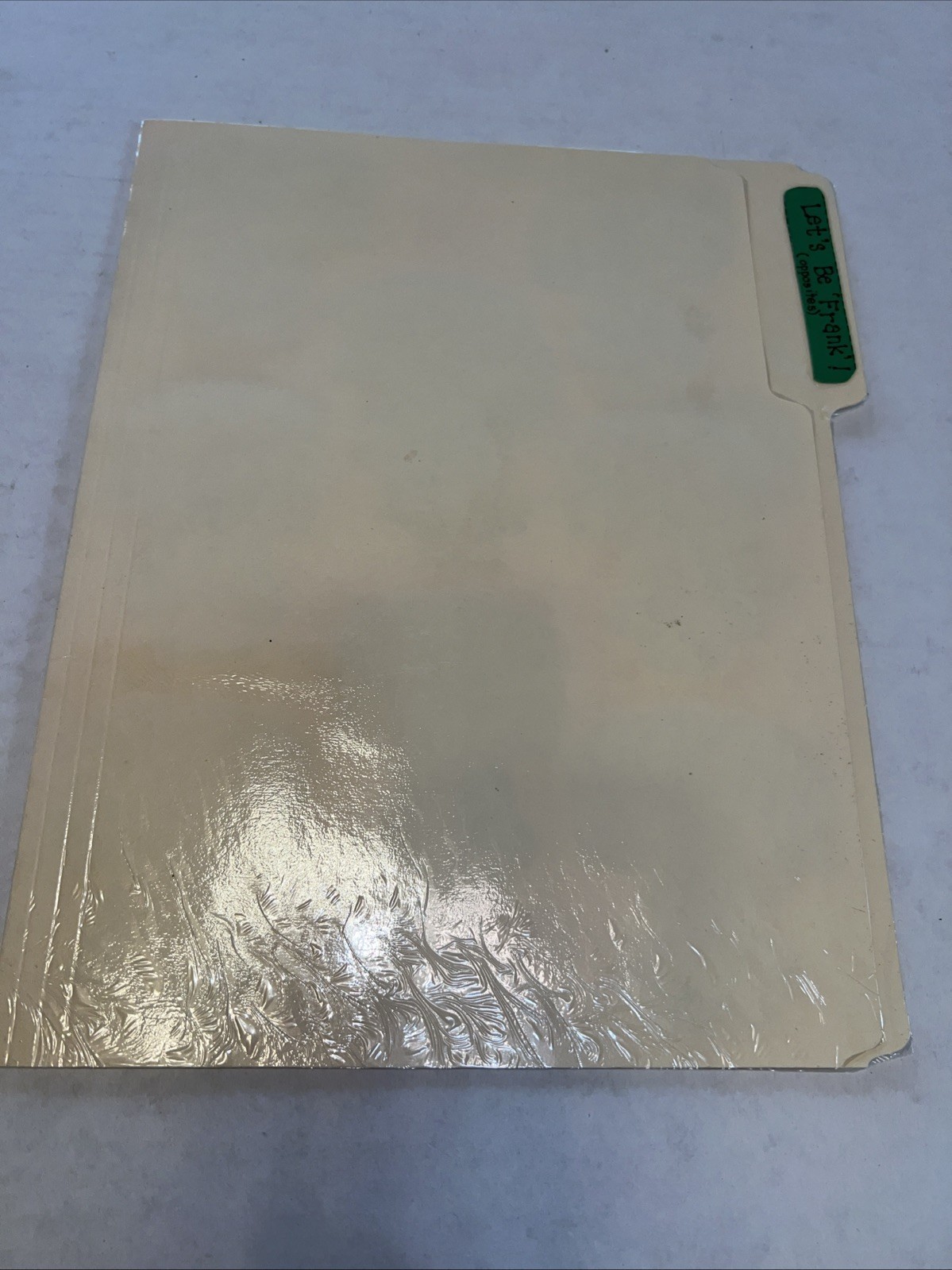 Let’s Be Frank Grades K-1 Teacher Made File Folder Game Opposites