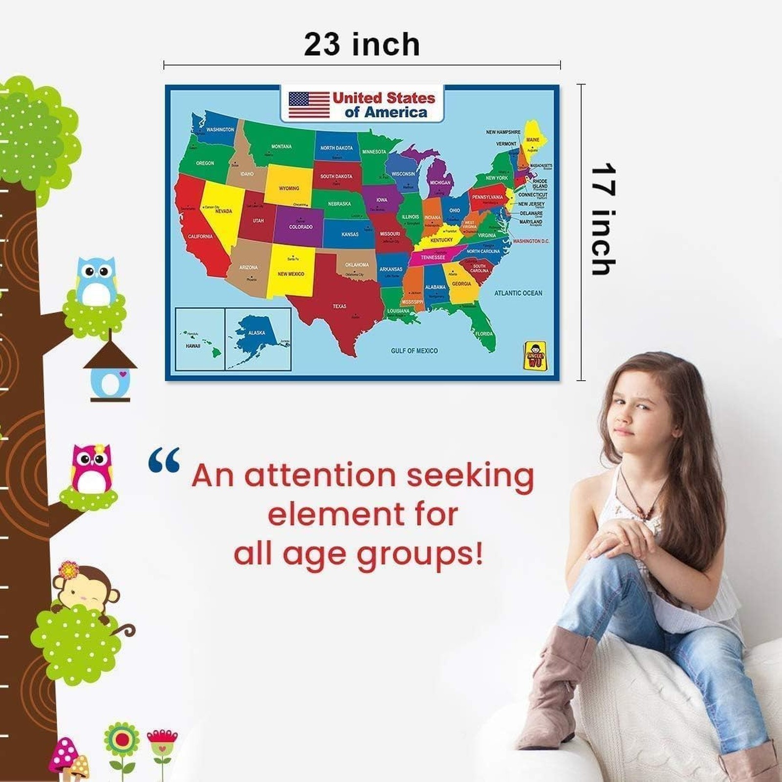United States Map Educational Poster Dry Erase Laminated 17×23 Inch Waterproof
