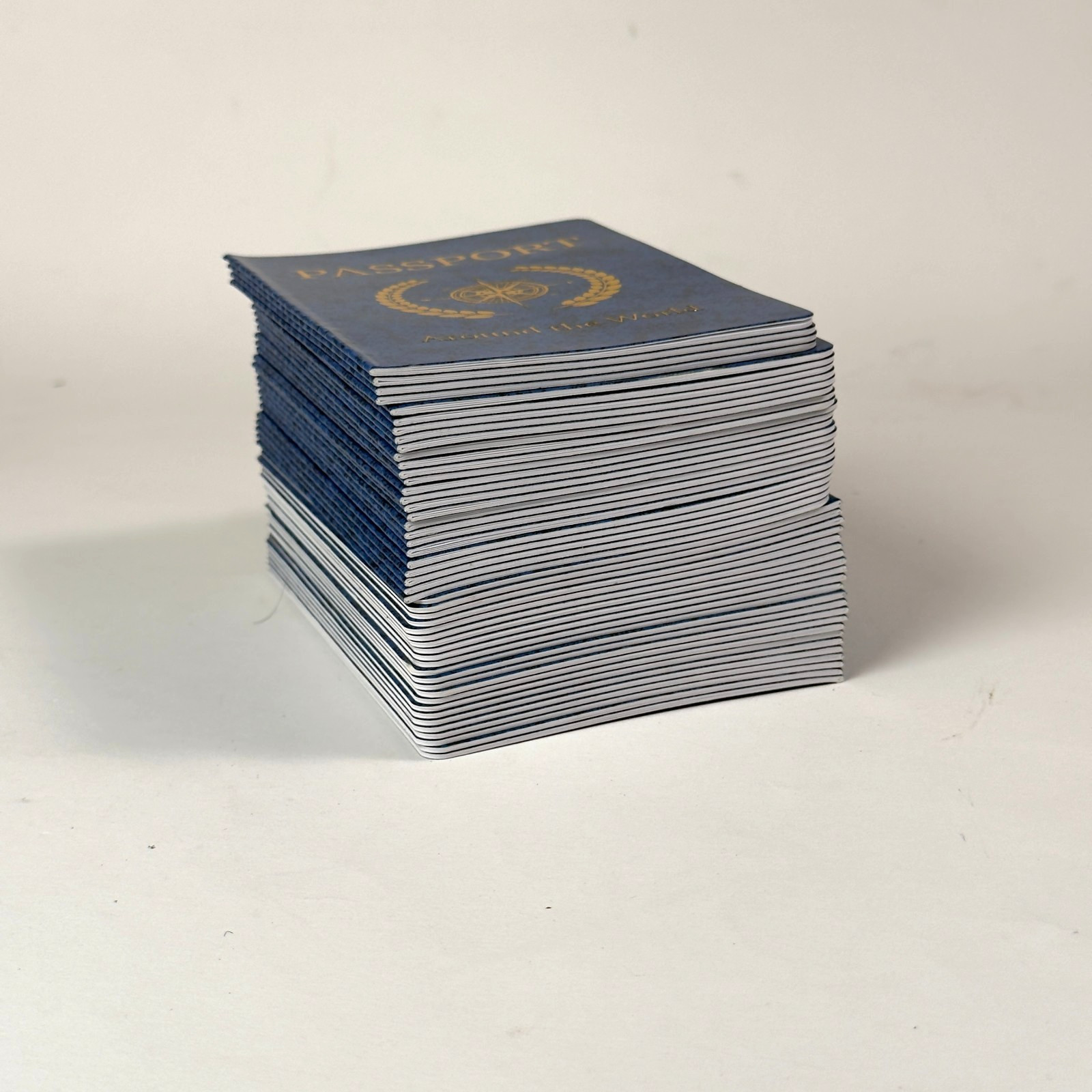 50 Blank Passport Notebooks for Kids Travel Party Favors Classroom Activity Book