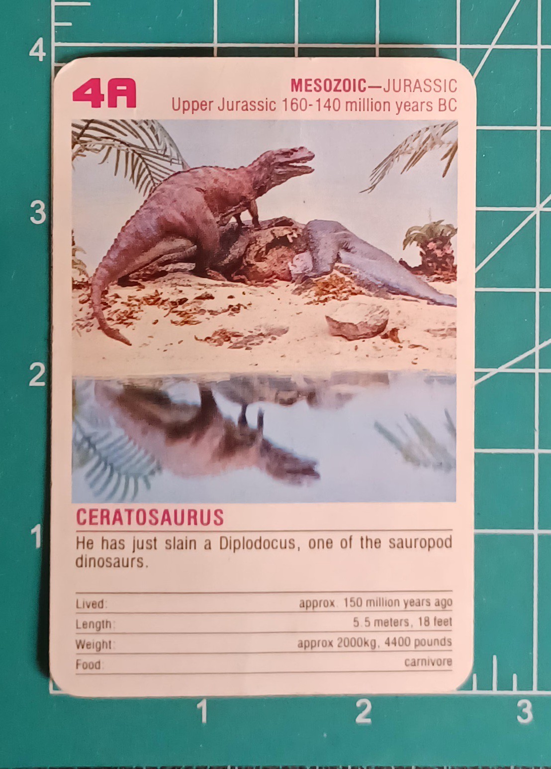 2 Sets / Vtg 60+ DINOSAURS Flash Cards Identification Cards Learning Teaching -Z