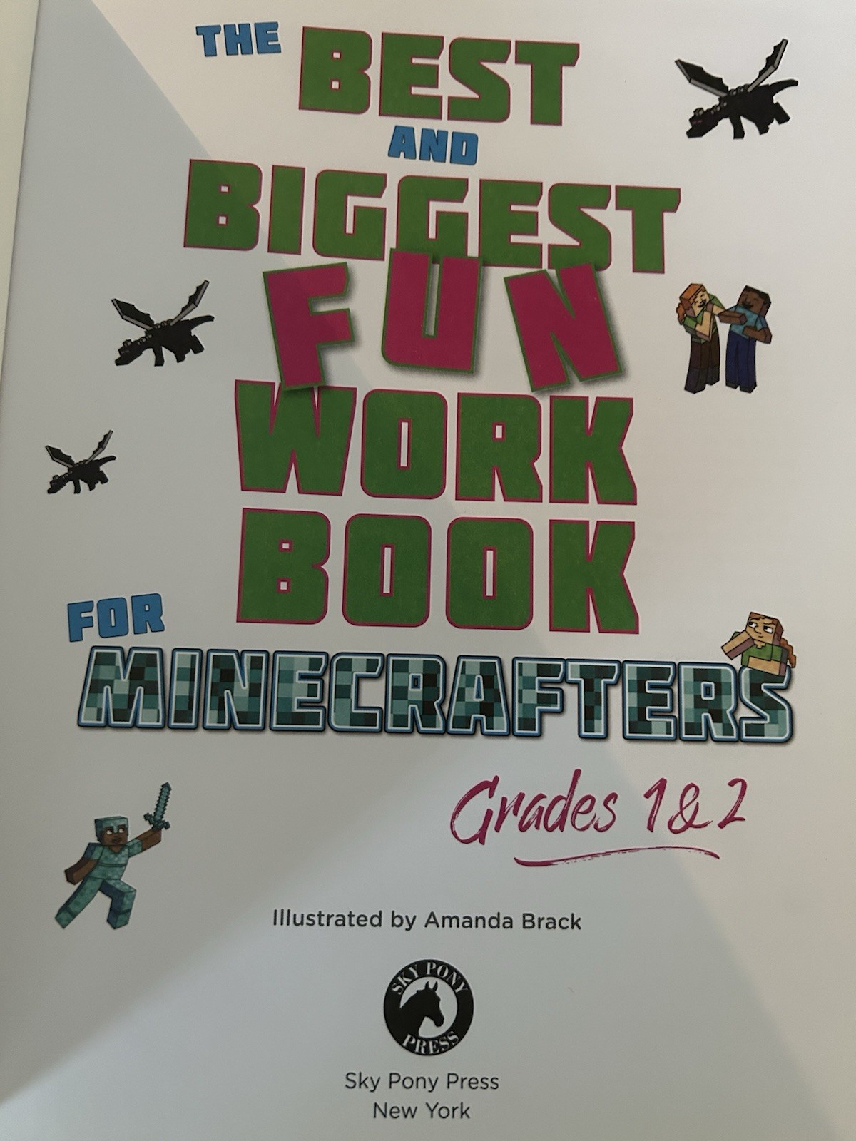 Sky Pony Press Minecraft Workbook Grades 1-2 Math Counting Time Ages 6-8