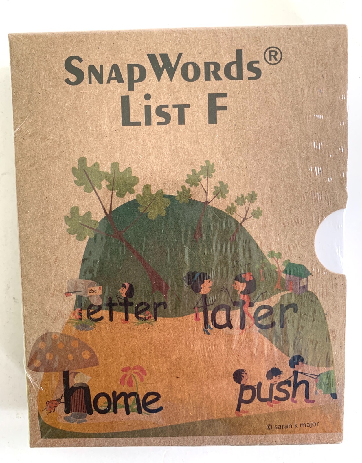 Sealed SNAPWORDS LIST F 59 Sight Word Cards 5.5″ x 4.25″ Sara K Major