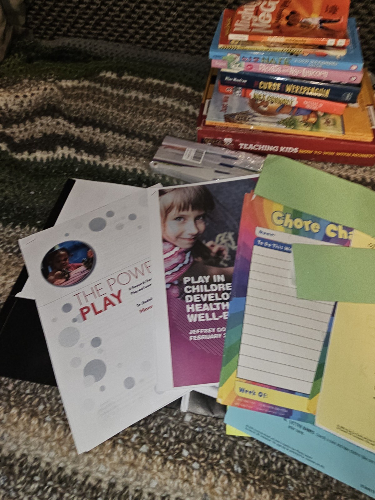 Homeschool Educational Elementary Lot Books Alphabet Ages 4-11