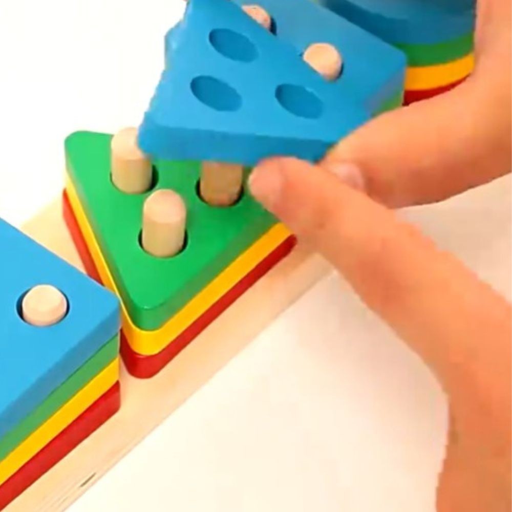 Multi-Color Wooden Puzzle for Kids Educational Montessori Toy Age 1-3 Cognitive