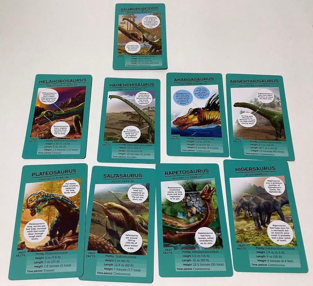 Set of 50 Dinosaur Information Travel Cards