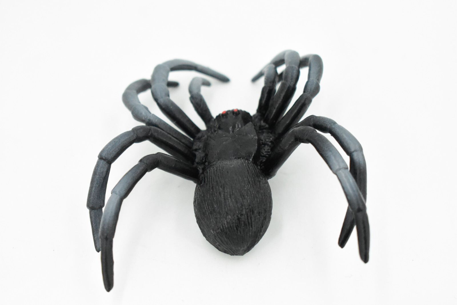 Spider, Black Tarantula, Plastic Toy Insect, Kids Gift Realistic Figure 4″ CWG47