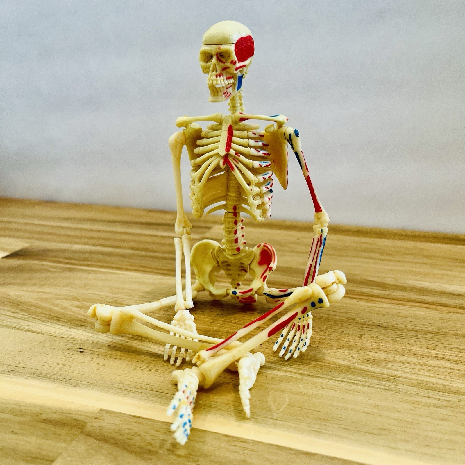 Learning Resources Human Skeleton Model – 41-Piece Anatomy Kit Kids STEAM Toy
