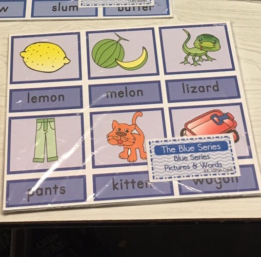 The Blue Series – Pictures & Words 108 (Three Part Card) Laminated Montessori