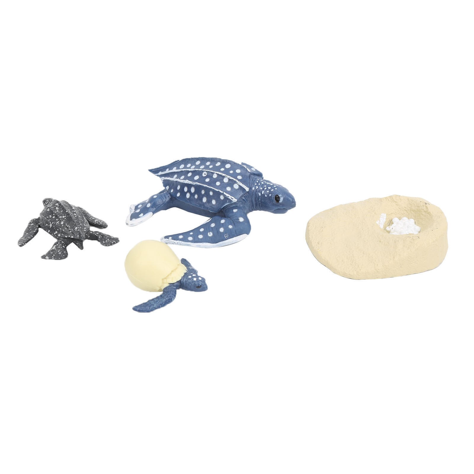 The Simulation Animal Model Sea Life Animals Life Cycle Cognitive Model