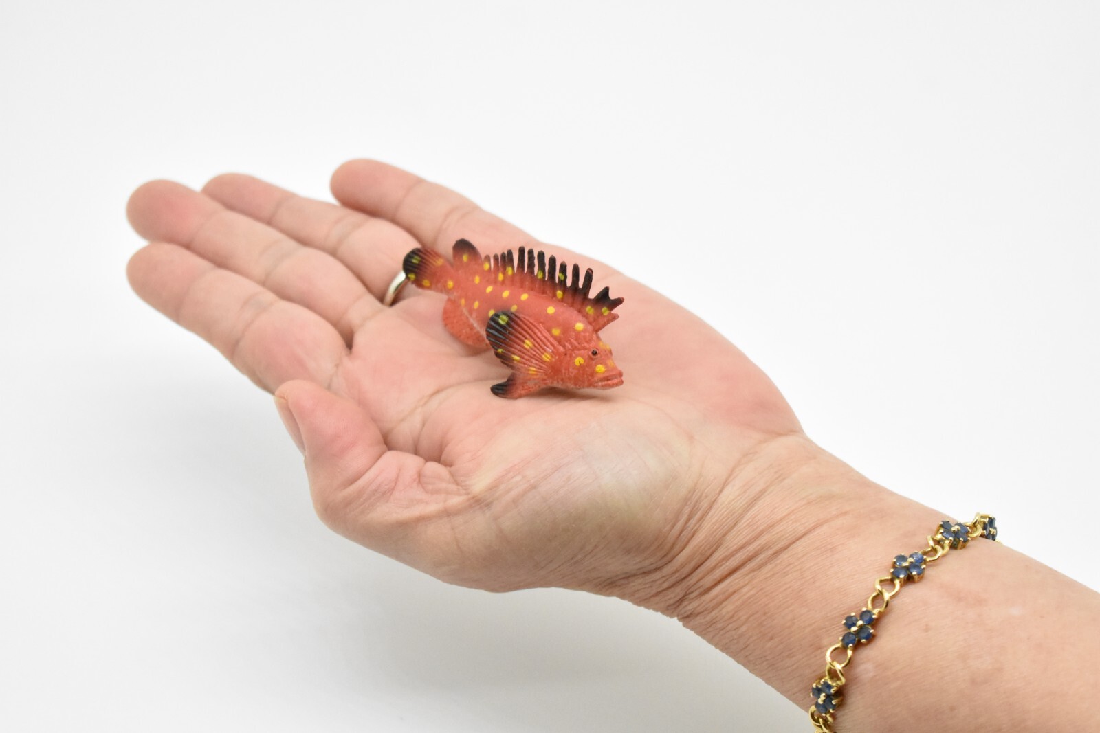 Spotted Kelpfish, Tropical Fish, Ocean, Plastic, Realistic Figure, CWG271B46