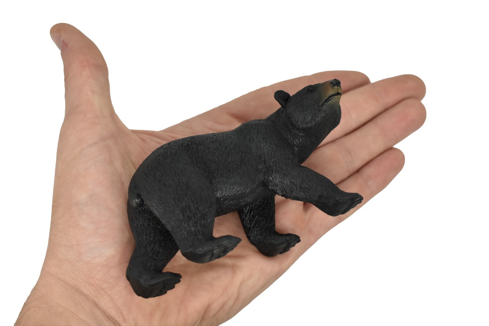 Black bear, Museum Quality Plastic Replica 4.5″W x 2.5″T M123-B648