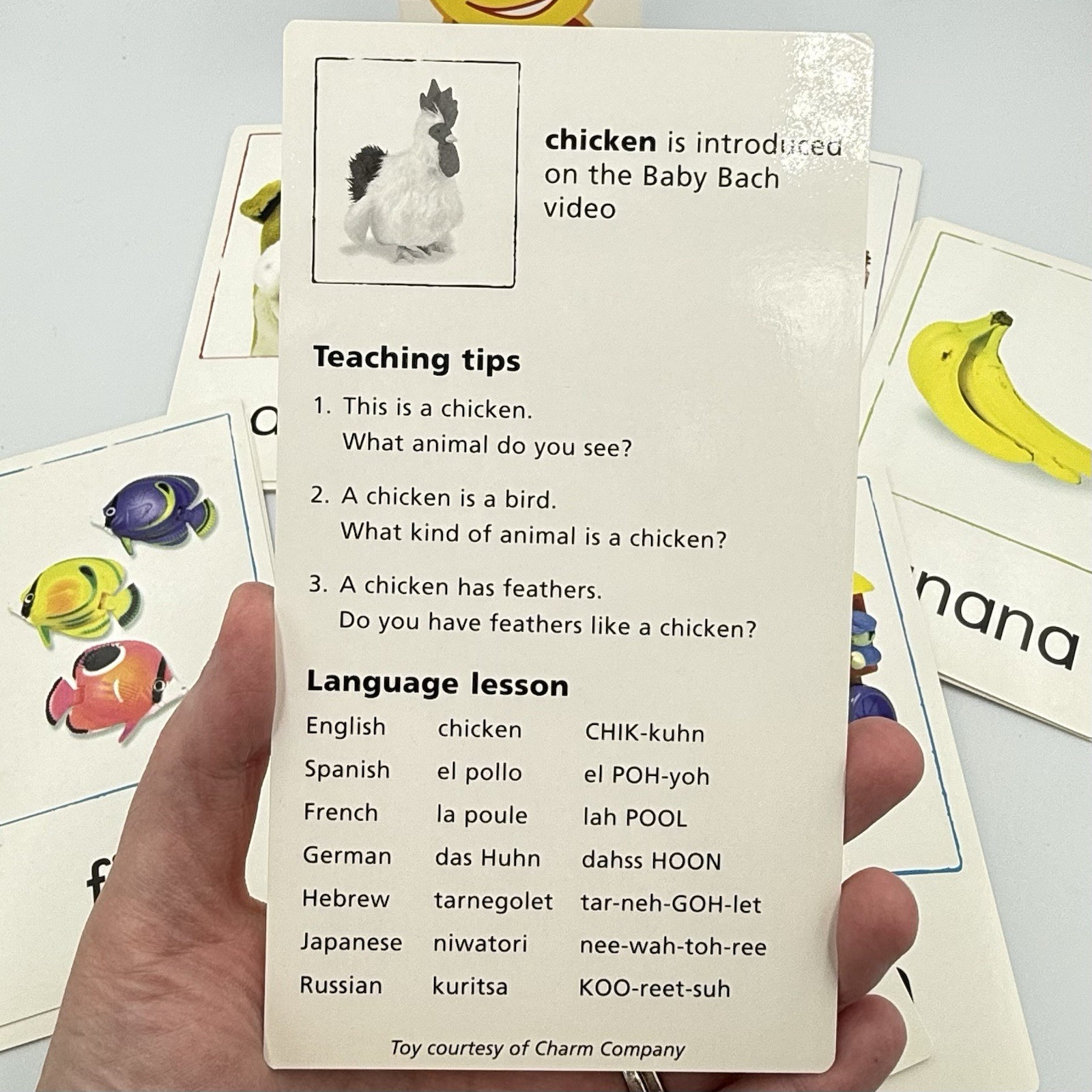 Baby Einstein Language Discovery Cards Educational Words Babies 1999 COMPLETE!