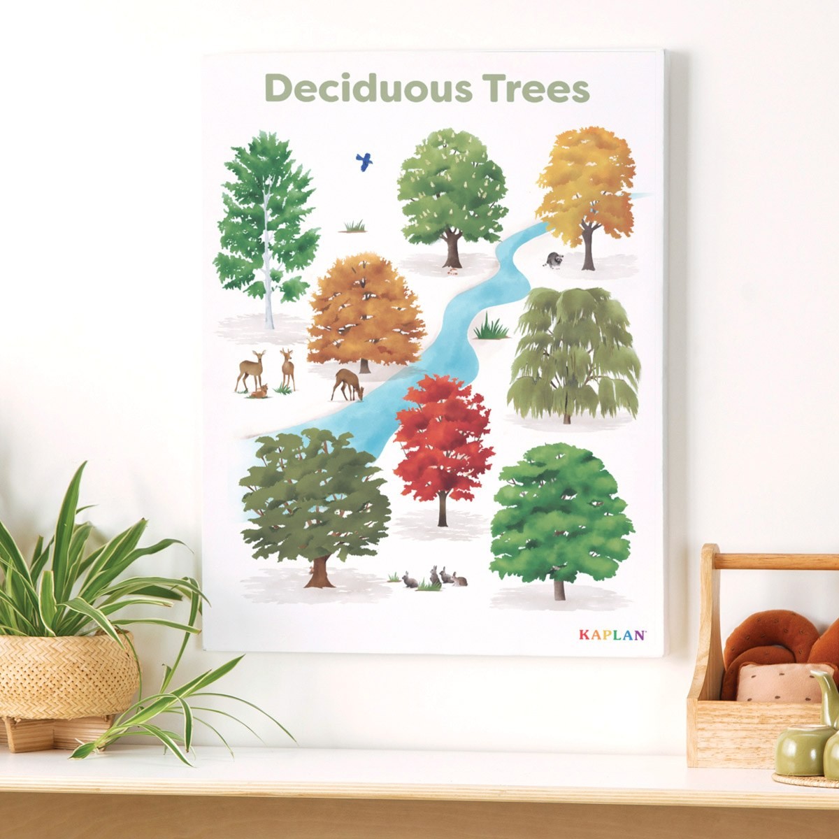 Kaplan Early Learning Deciduous Tree Giclee 18″ x 24″ Wall Print