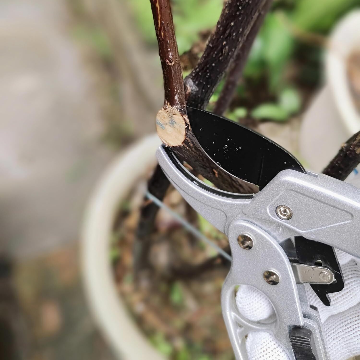 Fruit tree gardening scissors,Pruning Shears for Gardening Garden Hand Shears