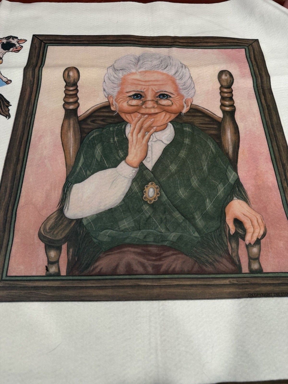 Felt Story Board Old Lady Swallowed A Fly Librarian Teacher Supply