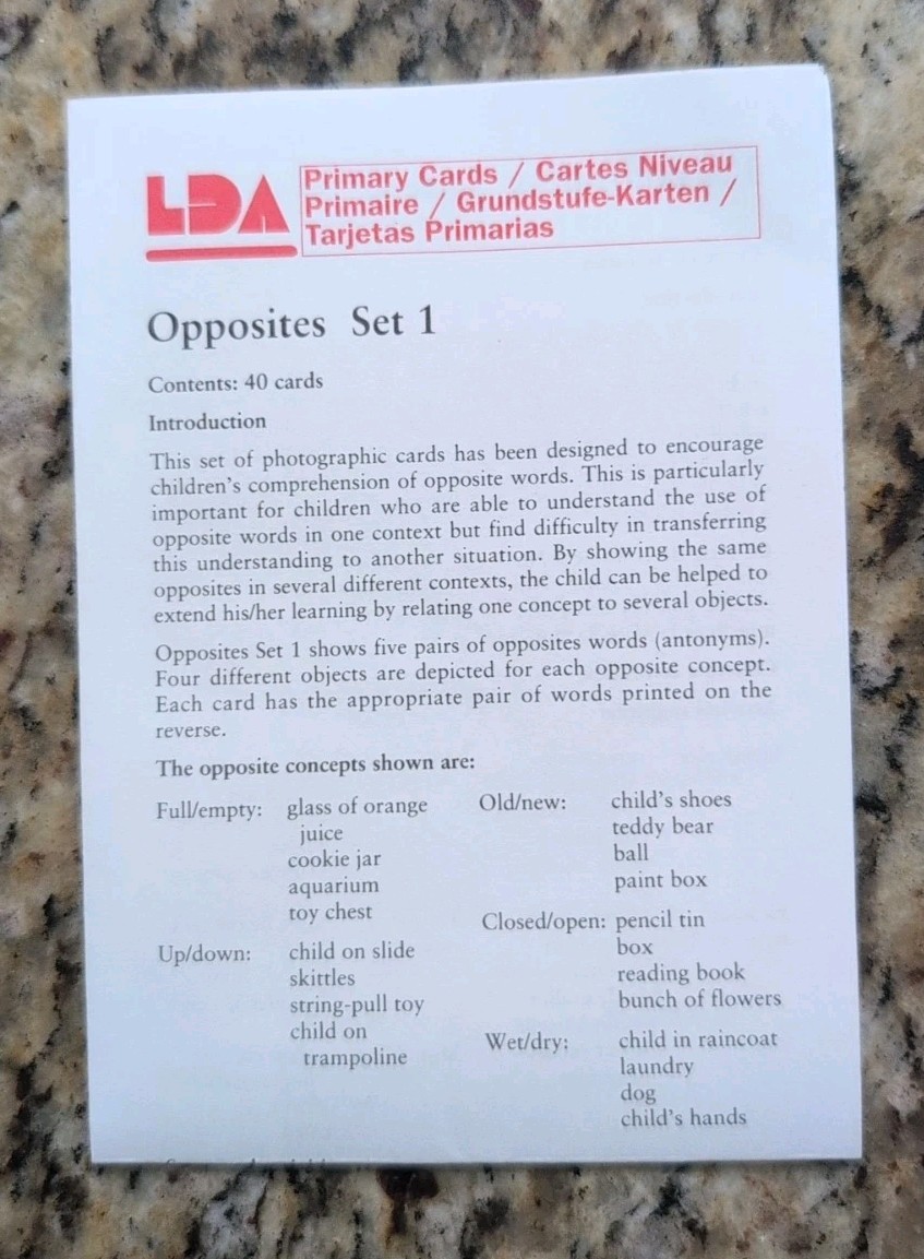 LDA Language cards Opposites Set One Skill Matching Elementary Homeschool