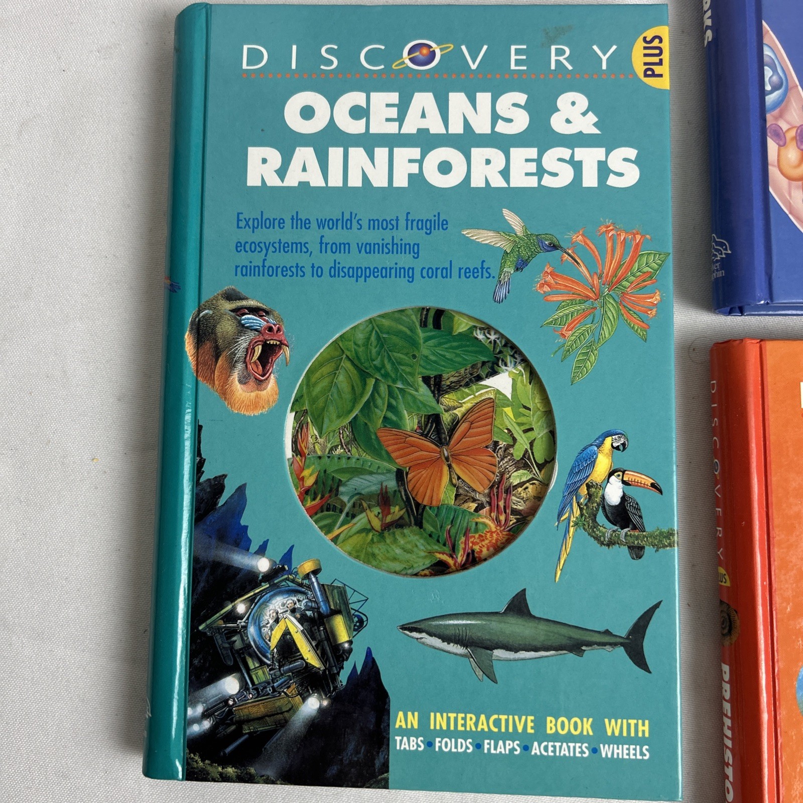 Lot Of (5) Discovery Plus Books INTERACTIVE/Fold Outs / Tabs/ Wheels / Acetate