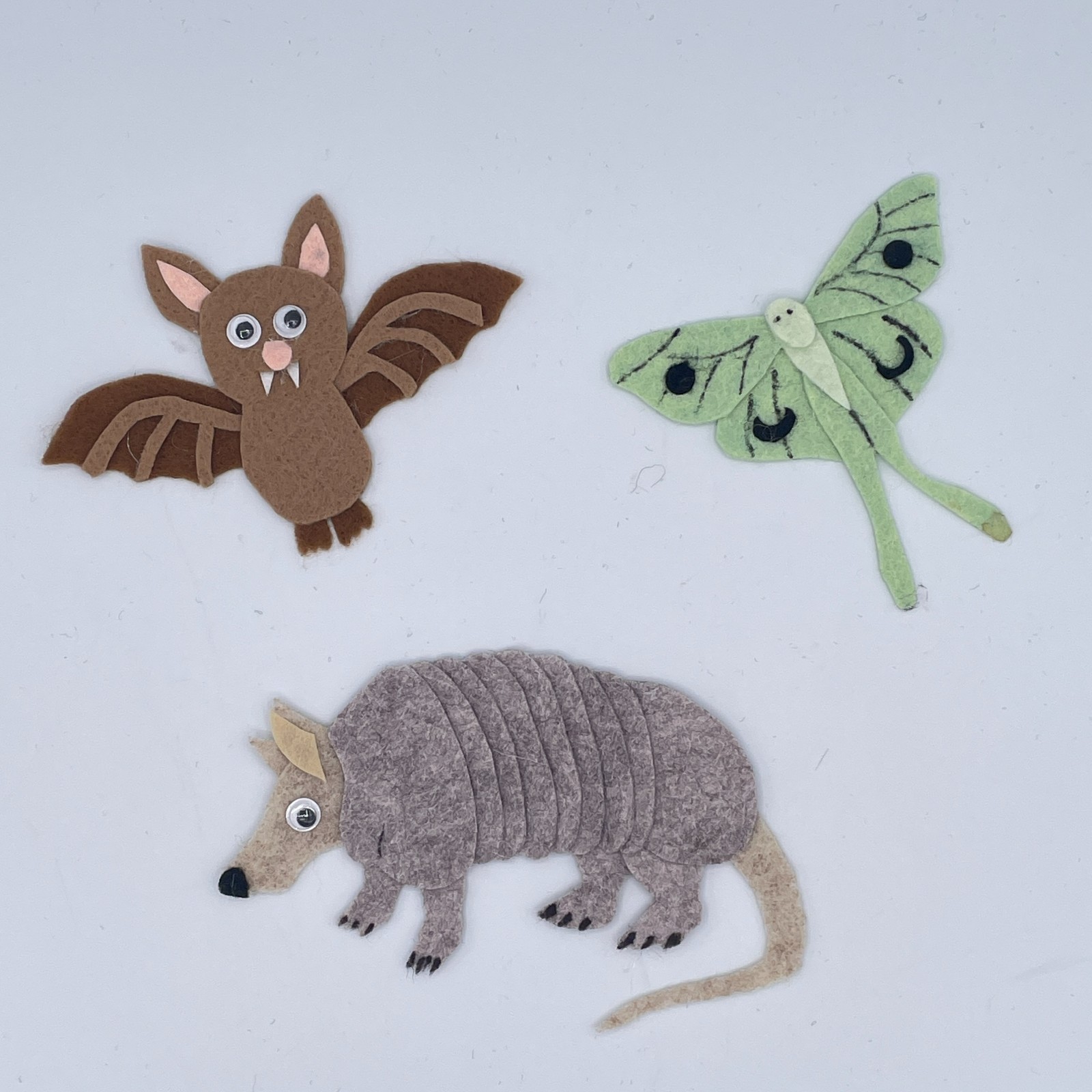 Nocturnal Animals Felt Story Set