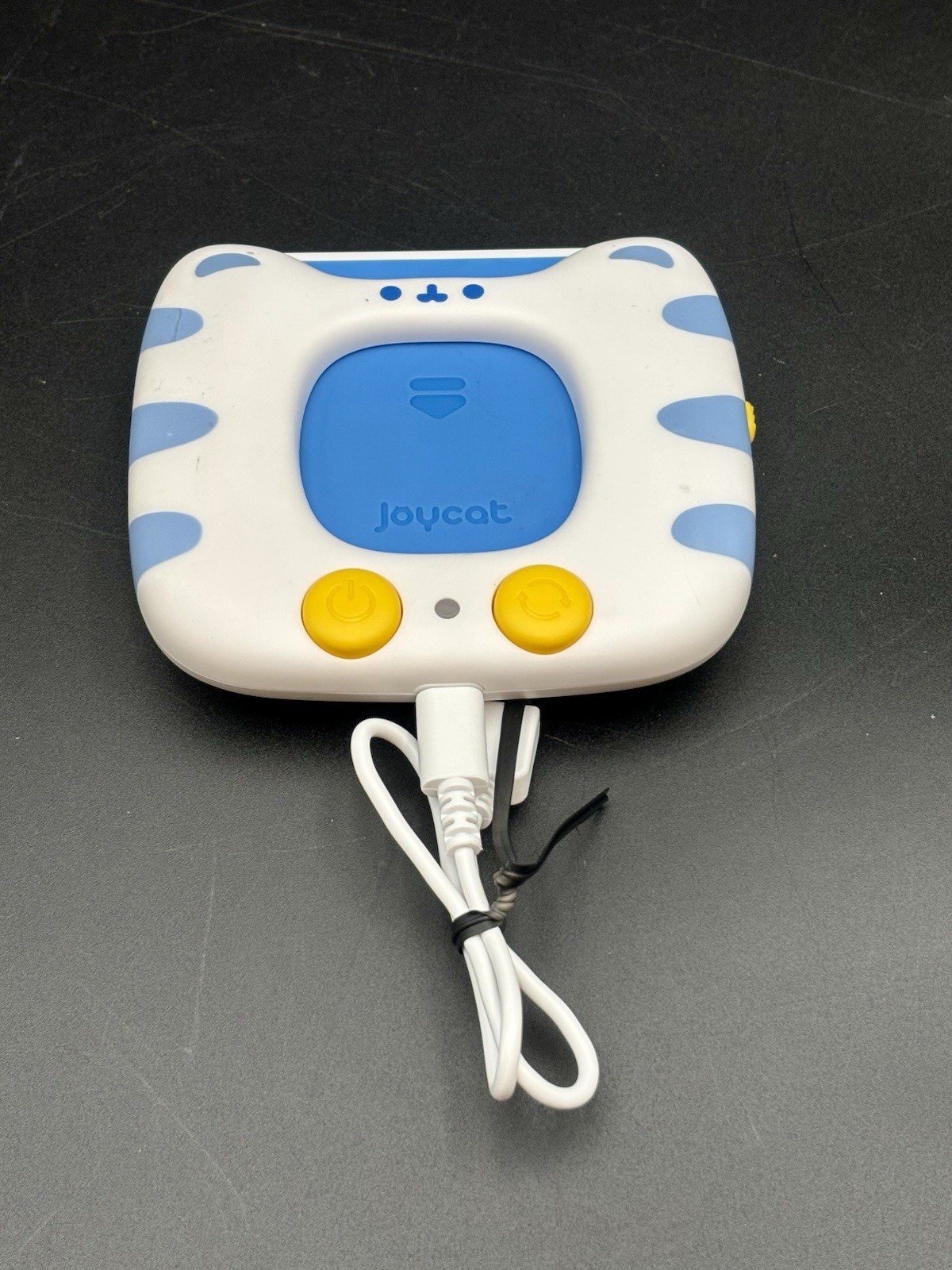 JoyCat Talking Flash Card Reader Sight Words Learning Toy for Toddlers
