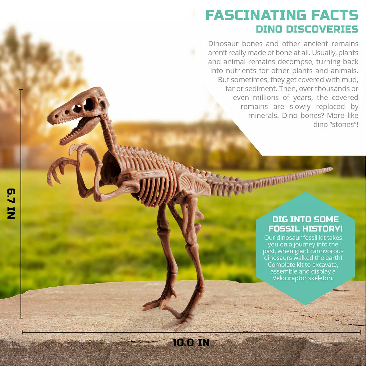 Velociraptor Dinosaur Fossil Excavation Dig Kit Discovery Mindblown STEM Toy