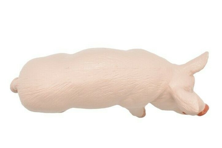 PIG / Boar Domestic Plastic Replica 4 1/2 -inch replica – F2024 B143