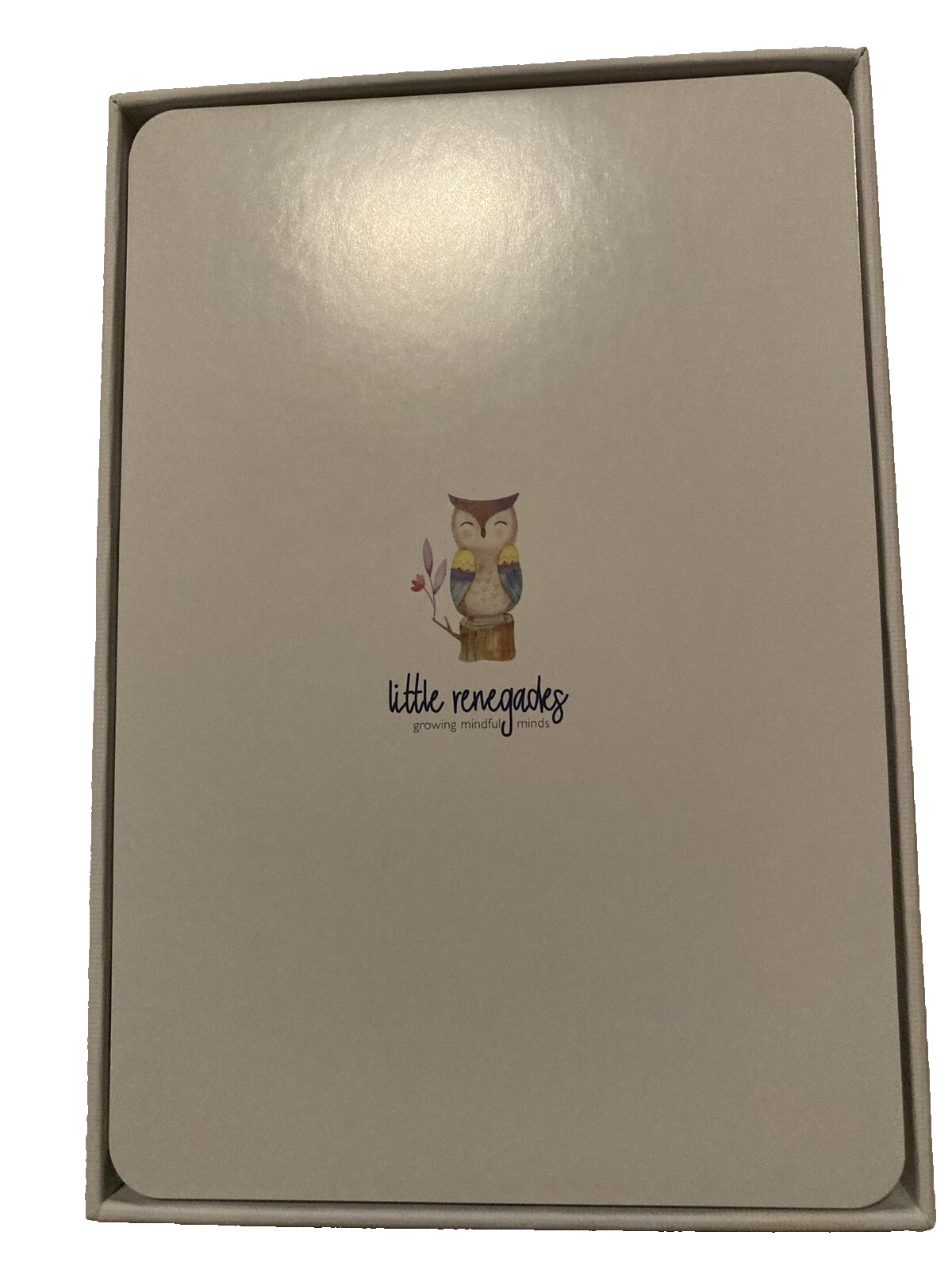 LITTLE RENEGADES Mindful Kids Cards Everyday Exercises Mindfulness Stillness….