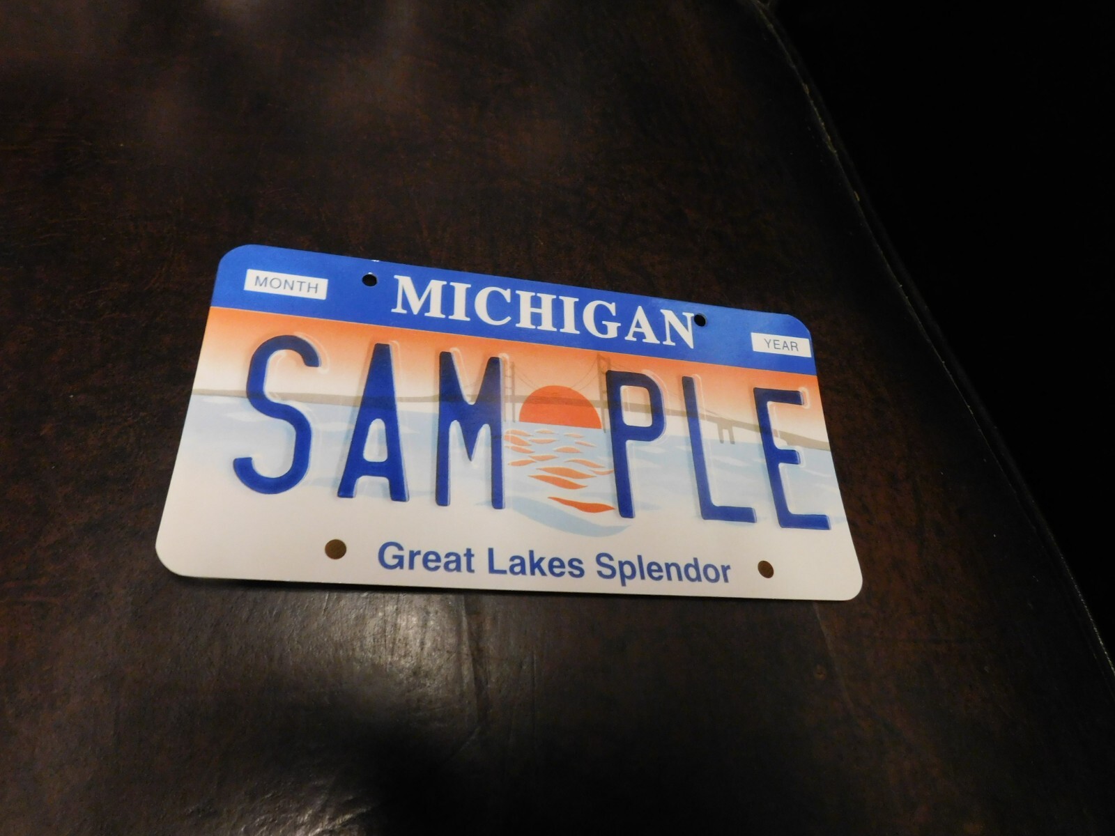 Flash Card Miniature Glossy Paper License Plate 2001 Series Sample Michigan