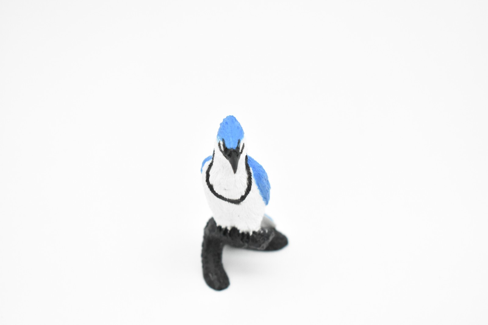 Blue Jay, Bird, Nice Plastic Reproduction 2 1/2″ F3388 B27
