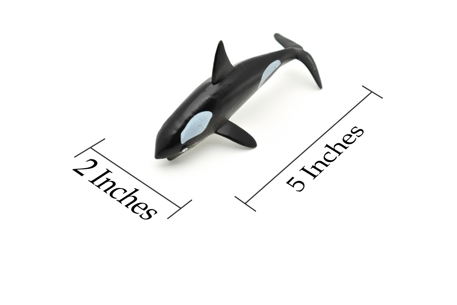 Orca, Killer Whale, Hollow Rubber Replica 5″ Long ~ F0020-B22