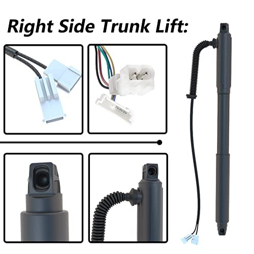 Rear Tailgate Power Lift Support Shock Electrical Struts Left & Right |