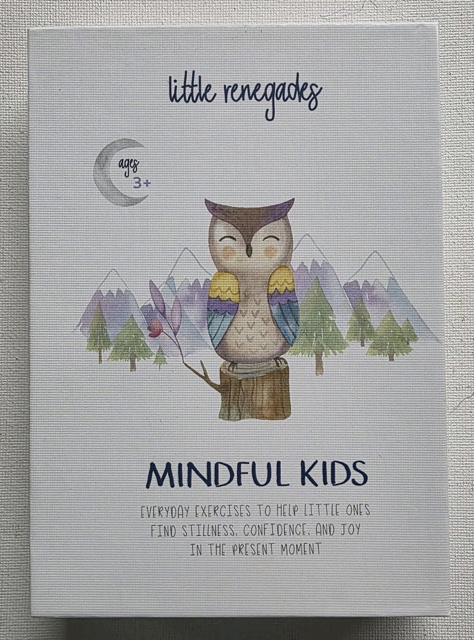 Little Renegades Mindful Kids Cards Everyday Exercises for Confidence & Joy