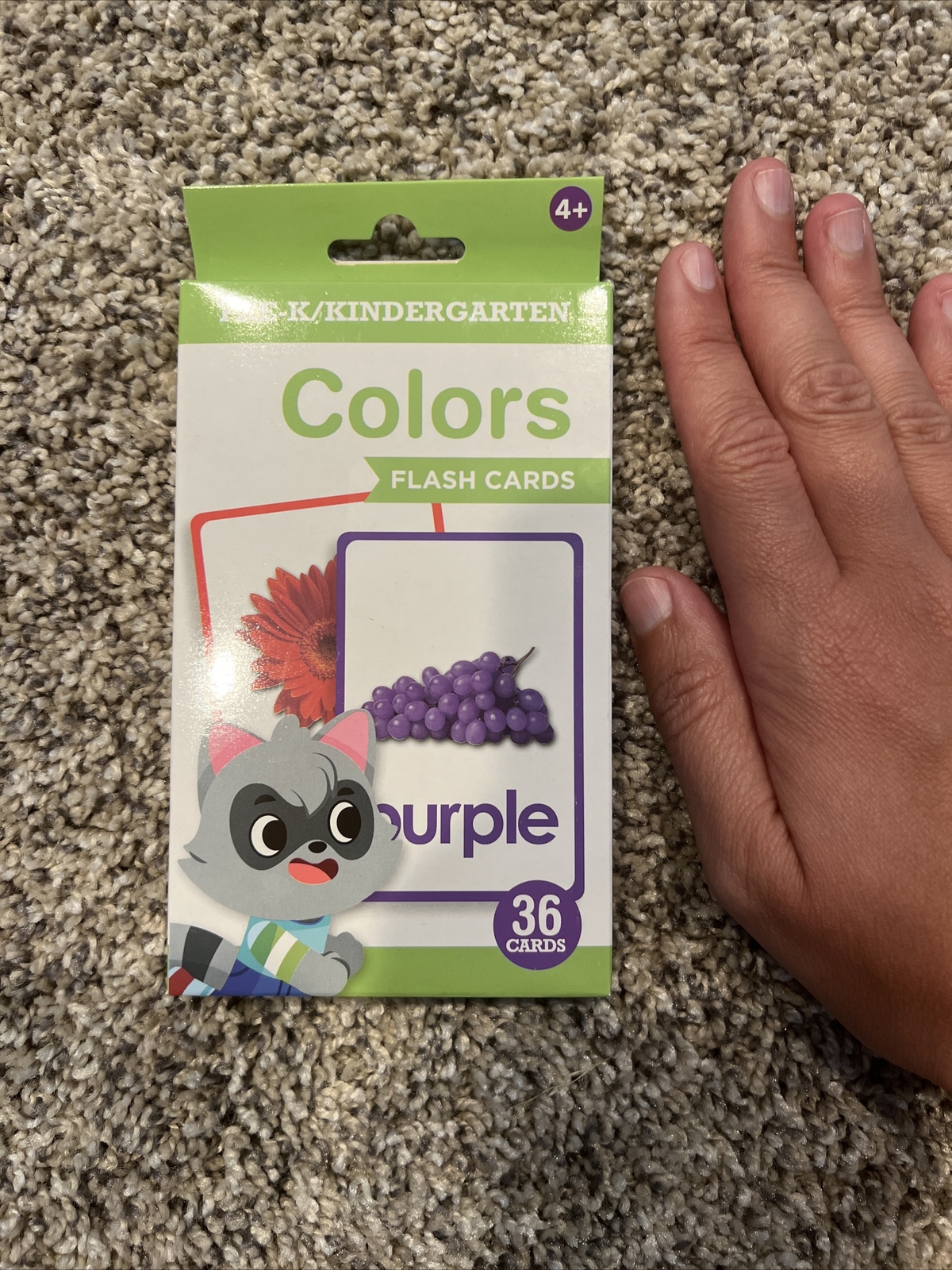 pre-k/kindergarden Colors flash cards/ New In Box Ages 4+