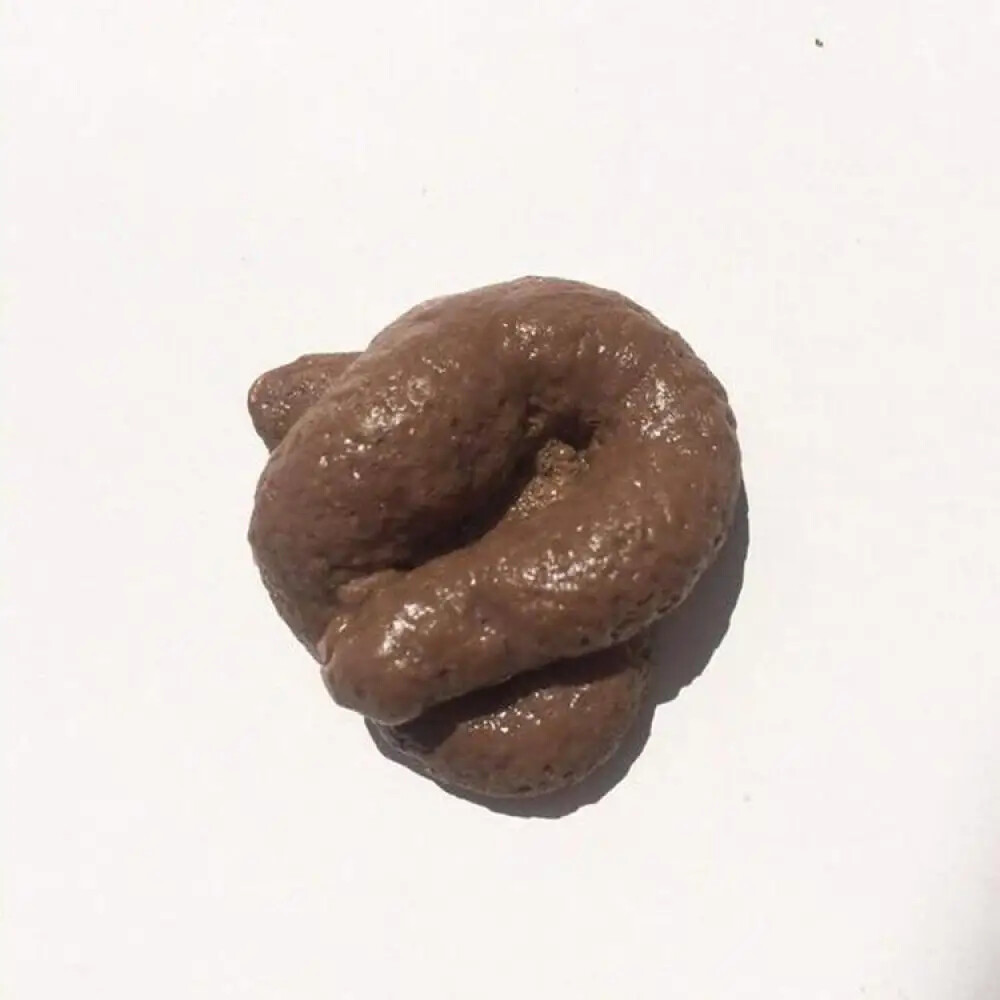 A Fun Toy Fake Poop A Prank and Stress Resistant Small Tool S As A Gift