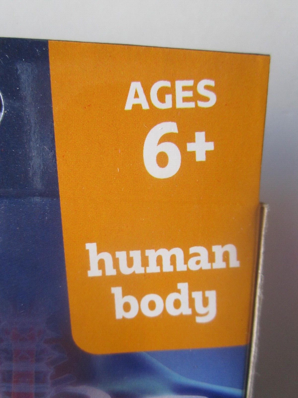 Lot Of 2 Brain Busters Gaming Cards – 31 Cards Each – Space,Human Body – Boxed