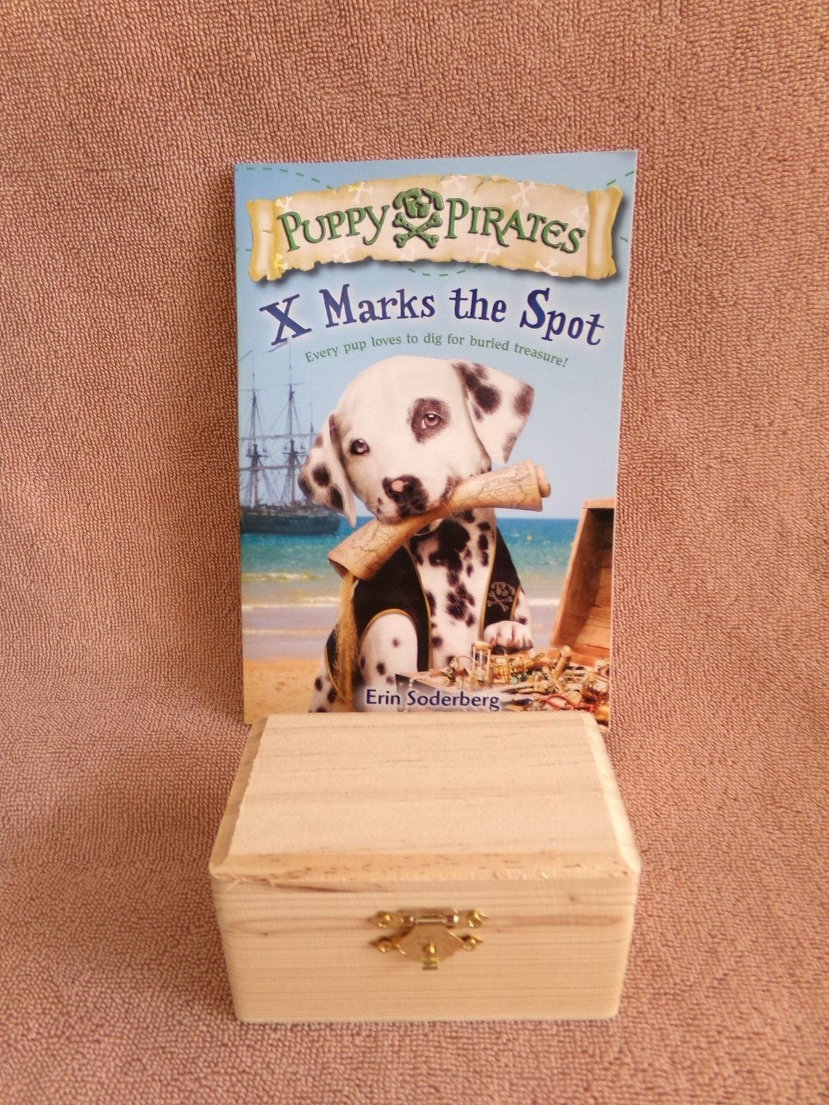 “Surprise Ride” Subscription Box “Pirates” Complete/New With Original Box