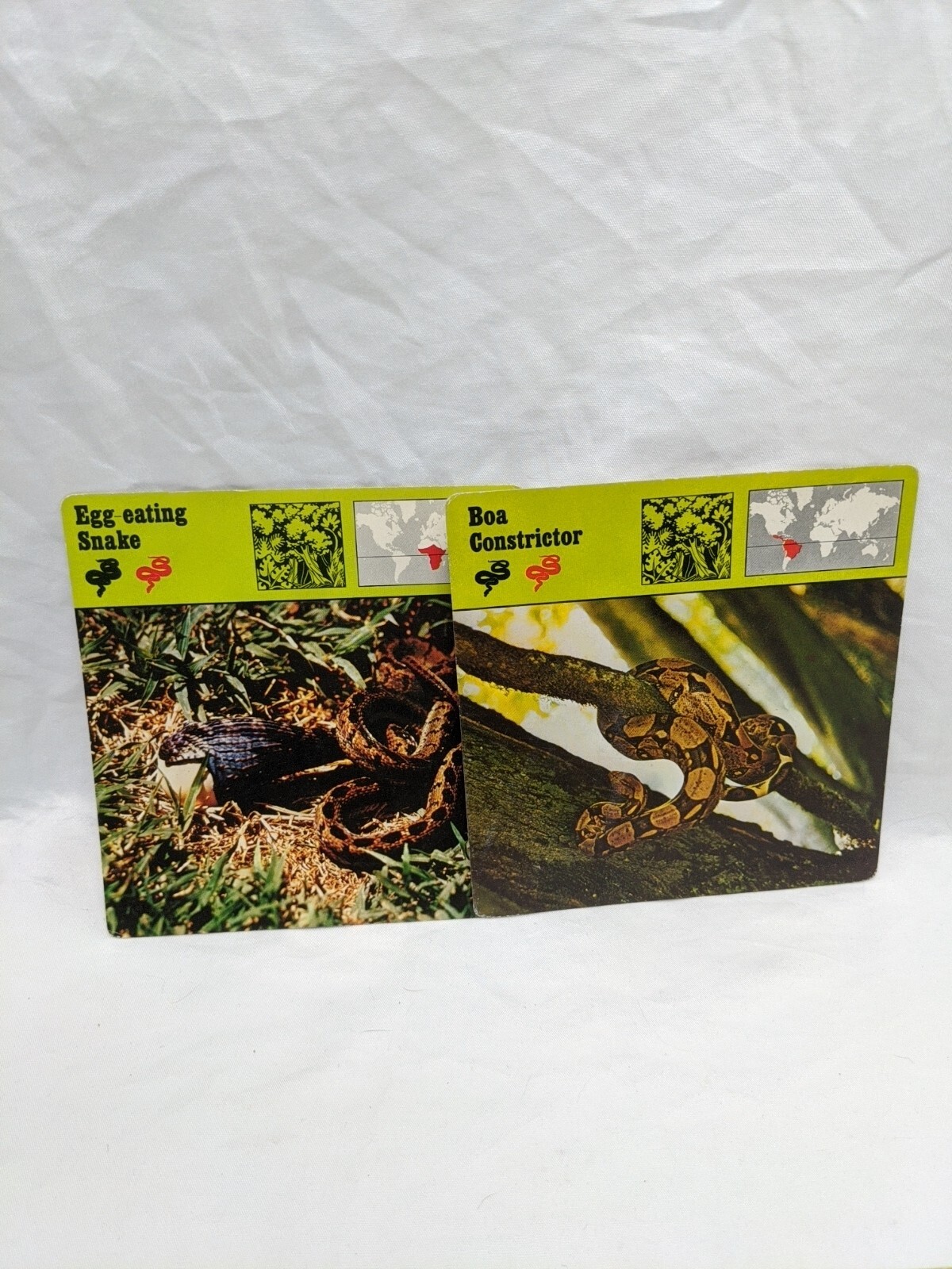 Lot Of (26) 1975 Rencontre Reptiles Education Cards