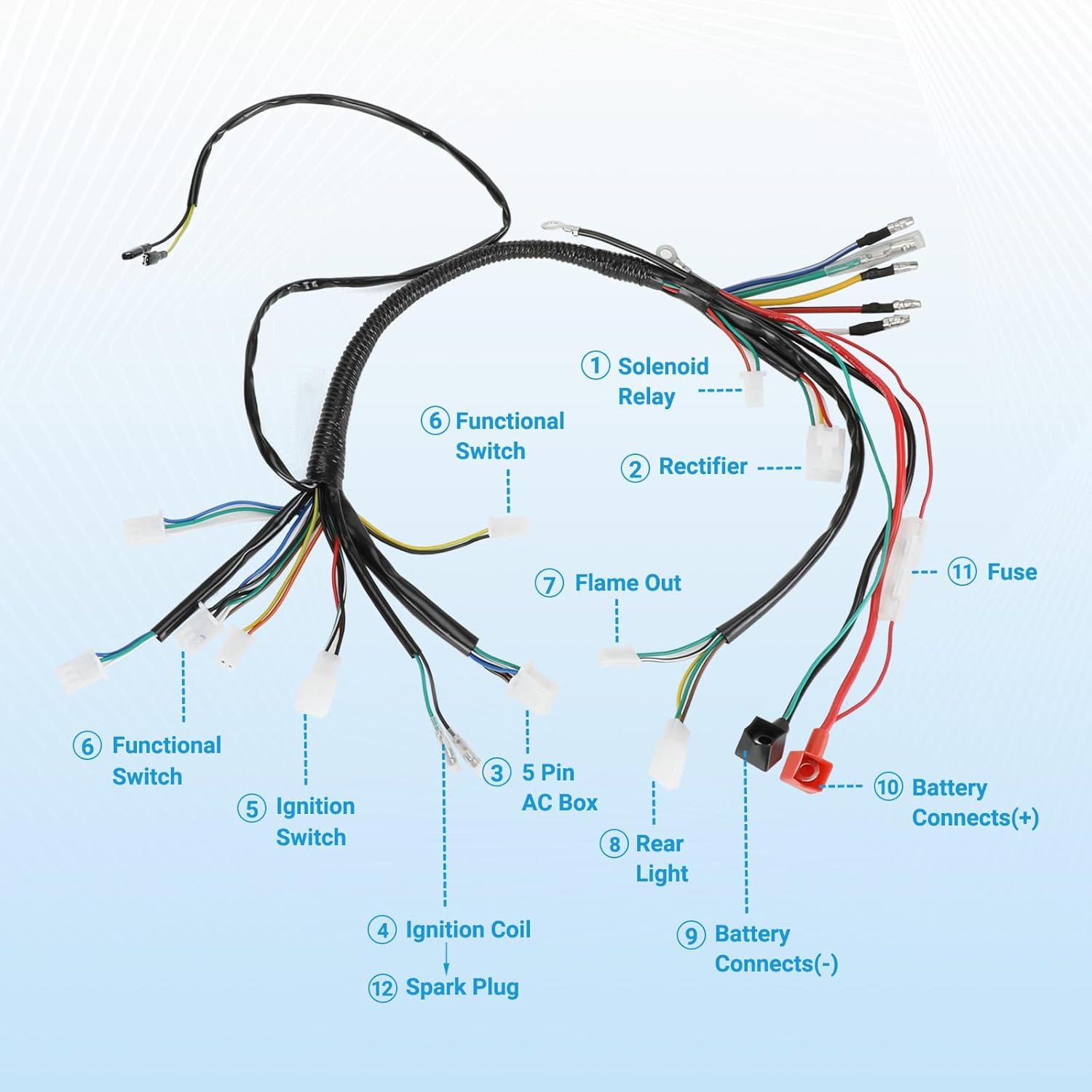 Electric Wiring Harness Kit Compatible with Taotao Coolster 110Cc 125Cc Chinese