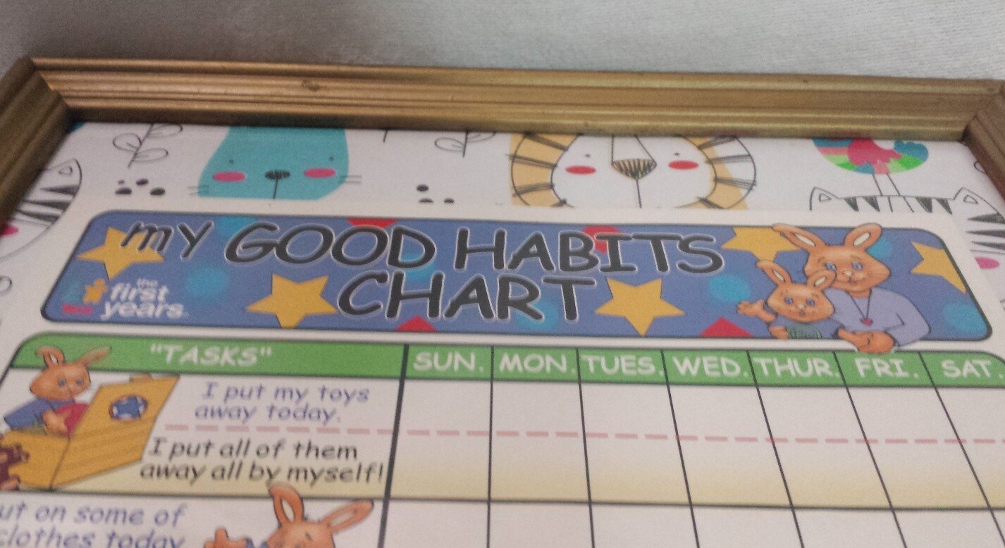 Toddler Chore Training Chart The First Years My Good Habits Chart Framed 14.5″