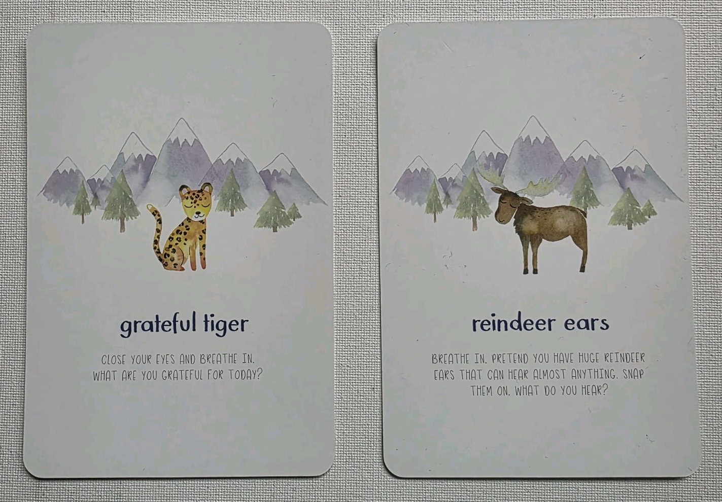 Little Renegades Mindful Kids Cards Everyday Exercises for Confidence & Joy
