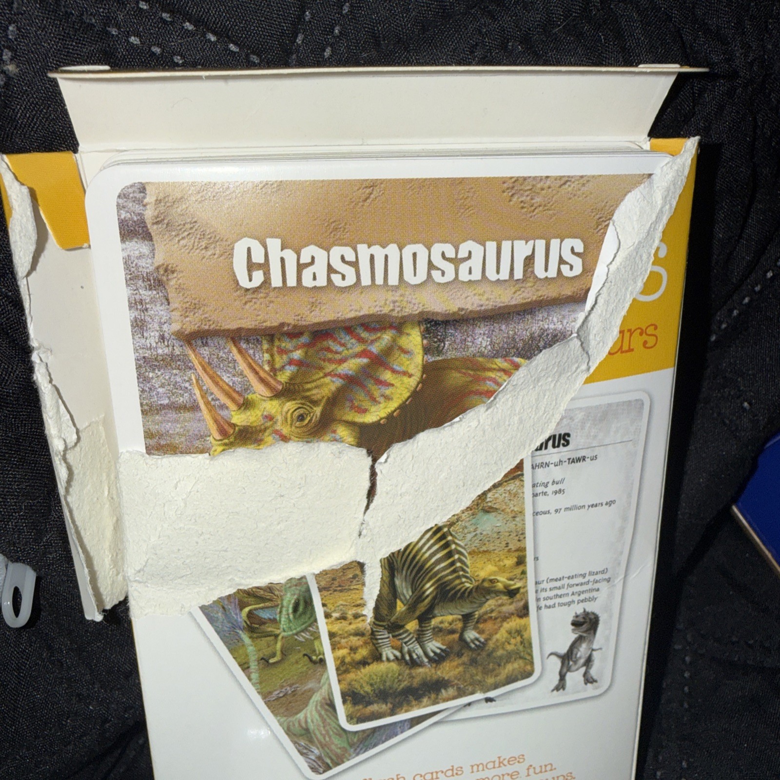 A+ Let’s Grow Smart Flash Cards — Dinosaurs. Box Is Ripped