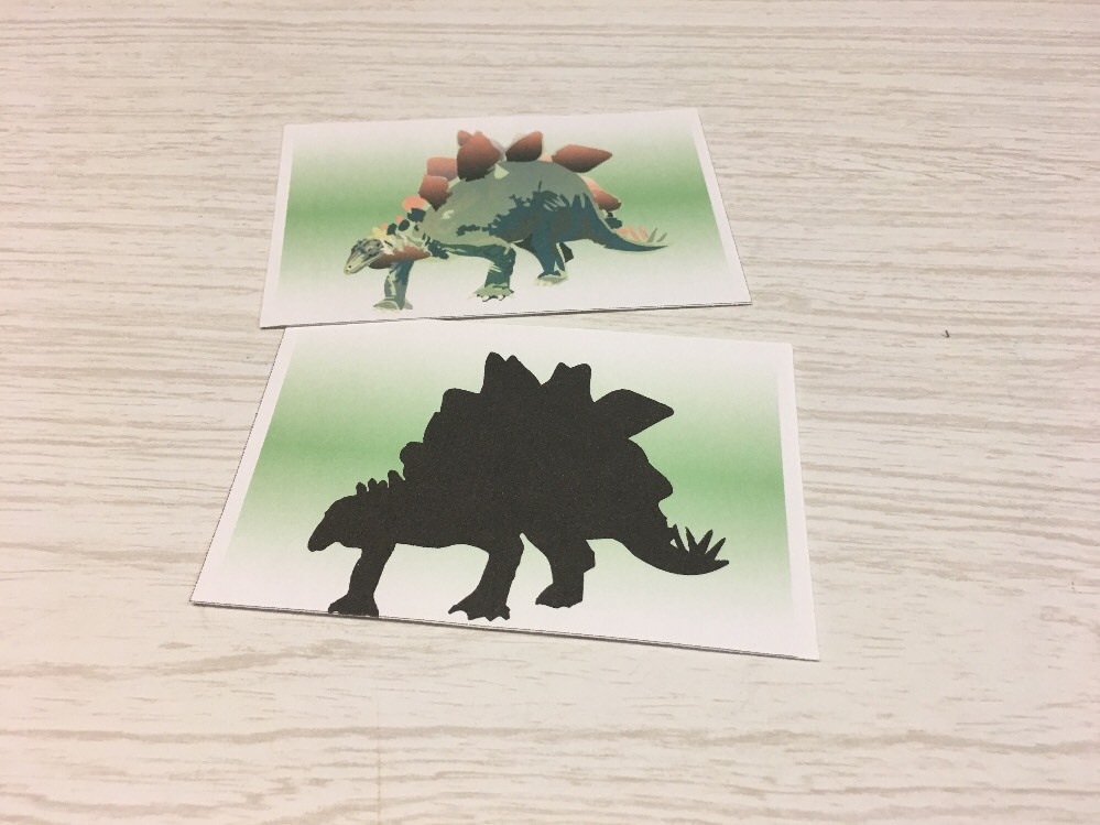 Dinosaur Shadow Matching Laminated Activity Set – Teaching Supplies