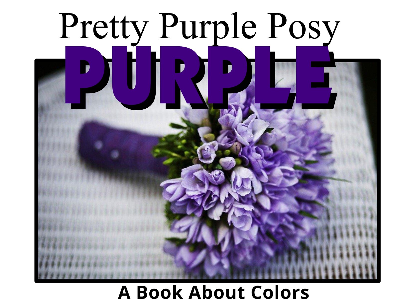Colors Series – 6 Book Set | LEARNING COLORS | Spiral Bound Picture Book SET 2