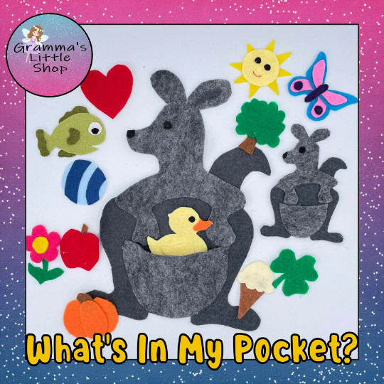 What’s In My Pocket ? Sample Set for Felt or Flannel Board Play