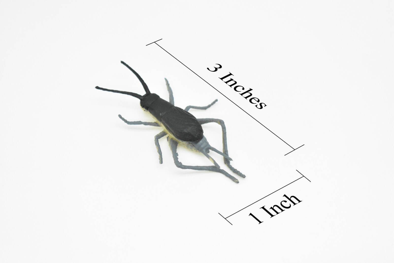 Cricket, Rubber Toy Animal, Realistic Figure, Model, Replica, Kids Gift 3″ F1058